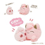 ポケモンセンターオリジナル ぶるぶる…むぎゅ！ ぬいぐるみ なきべそ ププリン&プリン