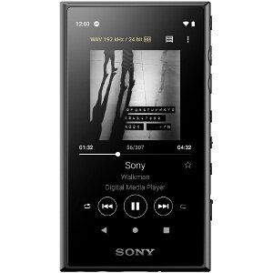 ˡ SONY ޥWALKMAN2019ǯǥ ۥ°Ƥޤ A꡼ ֥å NW-A105 ϥ쥾б 16GB