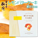 広島銘菓 広島レモン バターケーキ 手提げ袋付き 送料込み 手土産 平安堂梅坪