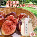 瀬戸内 無花果ぷりん 8個セット 万汐農園 送料無料 お取り寄せ いちじく プリン 尾道 向島