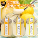 瀬戸内 愛情たっぷりぷりん 1箱3個入り 万汐農園 檸檬・八朔・蜜柑 送料無料 お取り寄せ レモン はっさく みかん プリン 尾道 向島