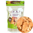 チキンチップス ガーリック 50g 送料込み 巴屋清信 高タンパク 低カロリー グルテンフリー