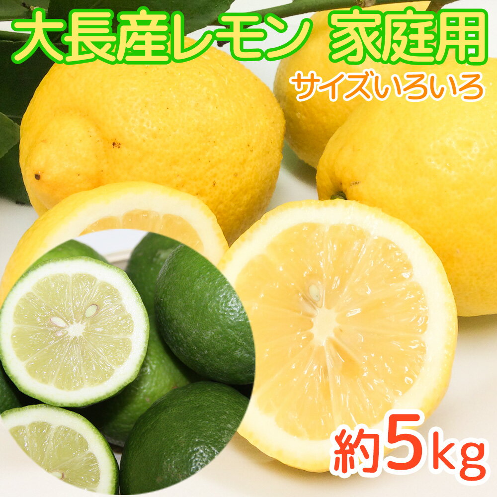 農園直送 うえがみ農園 広島県大長産レモン 約5kg サイズいろいろ 家庭用 グリーンレモンから11月末頃..