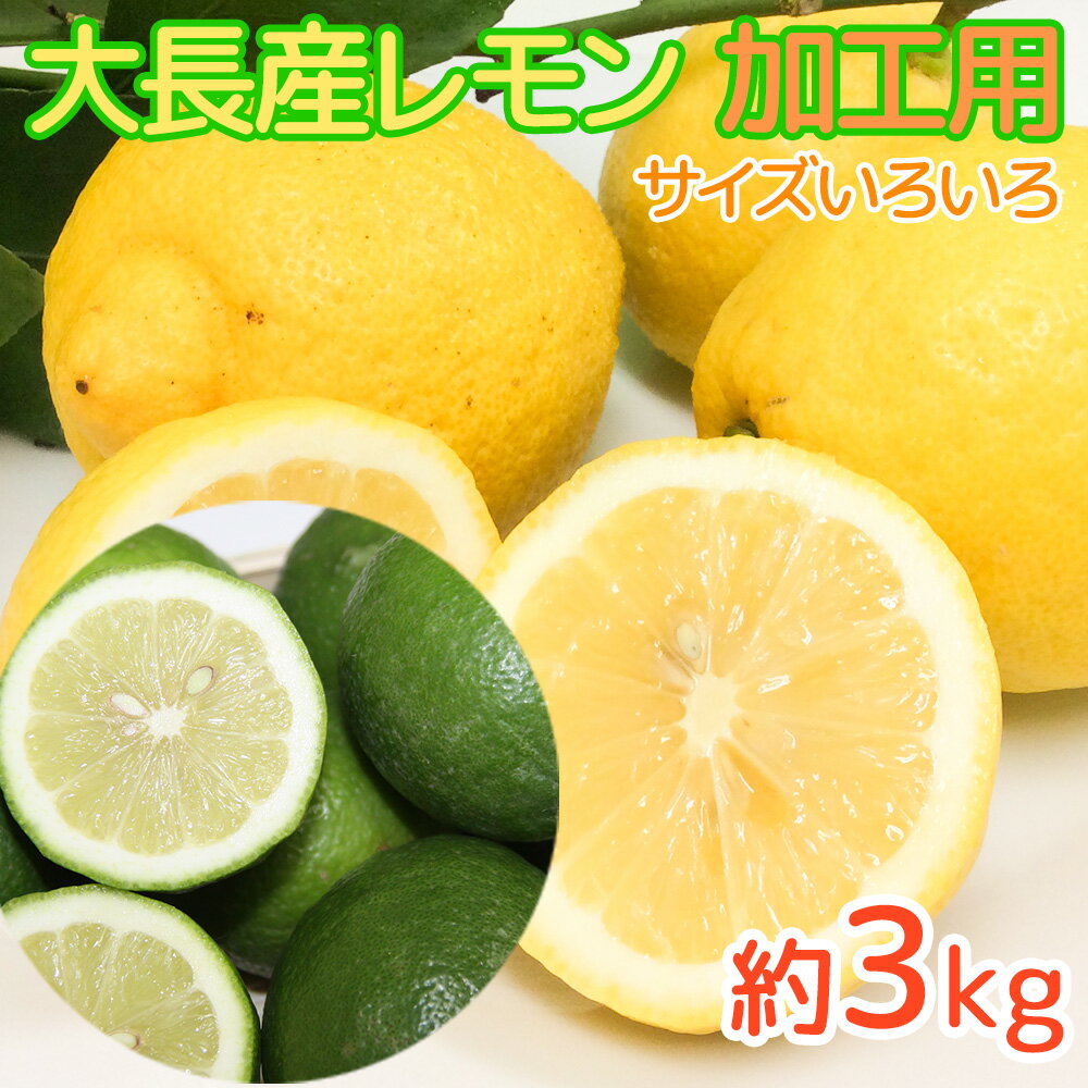 農園直送 うえがみ農園 広島県大長産レモン 訳あり 約3kg サイズいろいろ 加工用 グリーンレモンから11月末頃黄色へ 送料無料 国産レモン 広島県大崎下島上...