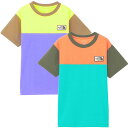 \5%クーポン有 7/15限定/ザ・ノース・フェイス Tシャツ キッズ ジュニア NTJ32338 ショートスリーブTNFグランドティー トップス ウエア 子供服 半袖 子供の プレゼント アパレル 服 黄色 紫 橙 緑 メール便送料無料 evid