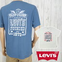 リーバイス リラックスフィット Tシャツ メンズ 161431923 161431924 半袖 トップス クルーネック ティーシャツ ロゴ 赤タブ 丸首 アパレ...