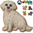 クロックス ジビッツ シューパーツ jibbitz Puppy 子犬 犬 キッズ レディース ゴールデンレトリバー ドゥードル ラブラドール チワワ ラバークロ...