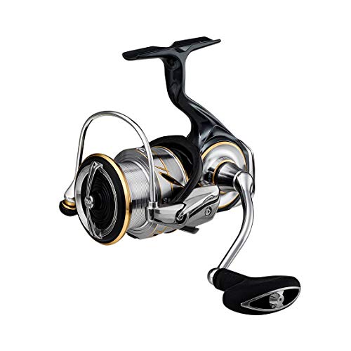 _C(DAIWA) XsjO[ 20 rAX LT4000-C(2020f)