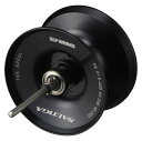 ダイワslpワークス(Daiwa Slp Works) SLPW 22 SALTIGA 15S スプール ブラック