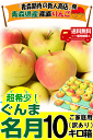 【あす楽】青森 りんご ぐんま名月 10キロ箱 家庭用/訳あり【送料無料】 りんご 訳あり 10kg箱 ぐんま名月 林檎りんご 訳あり 10kg箱【5480円】ss最\ 大小様々★名月 家訳 10kg箱