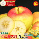 【あす楽】青森 りんご ぐんま名月 3kg箱 ご家庭用/訳あり【送料無料】旬シリーズ★大小様々【青森 リンゴ 林檎 訳あり お試し 名月 3キロ箱 自宅用 家庭用 果物 フルーツ 人気 売れ筋】【2980円】★名月 家訳 3kg箱