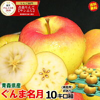 【あす楽】青森 りんご ぐんま名月 10キロ箱 家庭用/訳あり【送料無料】 りんご 訳...