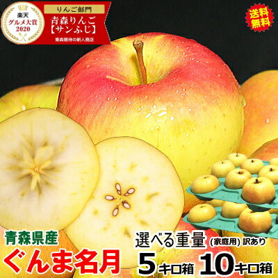 【即日発送】青森 りんご 10kg・5kg・3kg箱 ぐんま名月 訳あり/家庭用 重量選べる旬シリーズ【りんご 訳あり 10kg 送料無料】【青森 リンゴ 10kg 5kg 3kg箱】林檎 訳あり 名月 10キロ箱 自宅 家庭用 果物 フルーツ 人気】2590円~★選べる重量 名月 家訳
