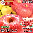 最大1000円引きクーポン★あす楽 青森 りんご 選べる品種 3kg箱 家庭用/訳あり 選べるシナノスイート シナノゴールド 金星 美丘 あいか他【クール便送料無料】青森 りんご 3キロ箱りんご 自宅用大小様々 3380円~★選べる品種 家訳 3kg箱