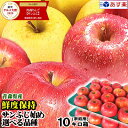 まるかじりできる津軽岩木山のリンゴ！徹底減農薬、無袋栽培 サンつがる（1級品）約5kg（約14〜16個） 【発送：9月中旬頃〜9月下旬頃】