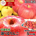 最大1000円引きクーポン★あす楽 青森 りんご 選べる品種 5kg箱 家庭用/訳あり 選べるシナノスイート シナノゴールド 金星 美丘 あいか他【クール便送料無料】青森 りんご 5キロ箱りんご 自宅用大小様々 4480円~★選べる品種 家訳 5kg箱