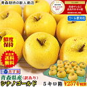 りんご 5kg 青森りんご 5キロ箱 家庭用 訳あり【クール...