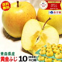 クーポンで5479円【あす楽】青森 りんご 10kg箱 黄金ふじ 家庭用/訳あり【送料無料】高級りんご 青色のふじ 黄金こがね ふじ 10kg箱【りんご 訳あり おためし】【家庭用 訳あり 10kg箱】【5780円】大小様々 ne★黄金ふじ 家訳 10kg箱