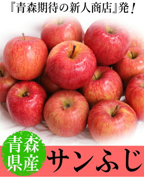 あす楽【送料無料】青森りんご ご家庭用 サンふじ 5キロ箱りんご 家庭用訳あり 5kg箱青森 林檎 5キロ箱 送料無料青森県産 サンふじ ご家庭用訳あり 5kg箱【税込2180円】青森 リンゴ 5kg箱 大小様々