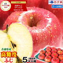 クーポンで200円引き【あす楽】高糖度保証!!青森 りんご 