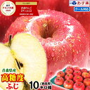 【あす楽】高糖度保証!!青森 りんご 10kg箱 ふじ 家庭