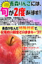 最安値挑戦【あす楽】青森 りんご 10kg箱 高糖度サンふじ 家庭用/訳あり【送料無料】品種選べる！りんご サンふじ 10kg箱【りんご 訳あり おためし】訳あり 10kg箱【4980円～】大小様々 小50玉～★選べるふじ王林or名月or金星 家訳 10kg箱