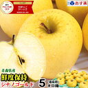 まるかじりできる津軽岩木山のリンゴ！徹底減農薬、無袋栽培 サンつがる（1級品）約5kg（約14〜16個） 【発送：9月中旬頃〜9月下旬頃】