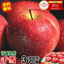 即日発送! 青森りんご 千雪 ちゆき 家庭用/訳あり 3kg箱【送料無料】りんご 3kg箱りんご 3キロ箱【青森 リンゴ 林檎 訳あり お試し 3キロ箱 果物 ...
