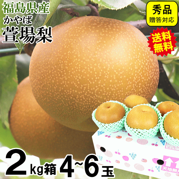 【連日発送中】福島 萱場梨 2kg箱 4玉～6玉 2箱購入で5kgでお届け！ 福島 梨 ナシ 2kg箱 秀品 ギフト ..