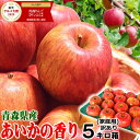 あす楽 青森 りんご あいかの香り5kg箱 家庭用/訳あり【送料無料】希少品種 あいか 5キロ箱林檎 リンゴ あいかの香り【りんご 訳あり】【りんご 自宅用 家...
