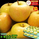 【送料無料】青森 りんごトキ 10キロ箱ご家庭用 旬のもぎた...