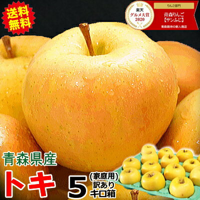【即日発送】 青森 りんご 5kg箱 訳あり/ご家庭用 トキ【送料無料】サンふじと王林の交配品種♪【旬のもぎたて♪青森 リンゴ 林檎 訳あり お試し トキ 5キ...