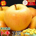 【即日発送】 青森 りんご 3kg箱 訳あり/ご家庭用 トキ【送料無料】サンふじと王林の交配品種♪【旬のもぎたて♪青森 リンゴ お試し 林檎 訳あり お試し ト...