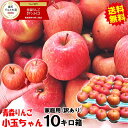 【あす楽】青森 りんご 10kg箱 訳あり サンふじ 小玉ちゃん 10...(4)
