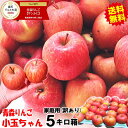 【あす楽】青森 りんご 5kg箱 訳あり サンふじ 小玉ちゃん 5kg...(4)