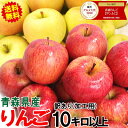 大人気の激安企画【あす楽】 青森 りんご 訳あり/加工用 10kg以上【クール便対応 / 常温便送料無料】ジュース用やお菓子作りに最適 10kg バラ詰め色つき...