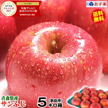 あす楽【送料無料】青森りんご ご家庭用 サンふじ 5キロ箱りんご 家庭用訳あり 5kg箱青森 林檎 5キロ箱 送料無料青森県産 サンふじ ご家庭用訳あり 5kg箱【税込2180円】青森 リンゴ 5kg箱 大小様々