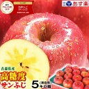 クーポンで200円引き【あす楽】高糖度保証!!青森 りんご 