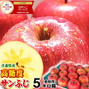 【あす楽】青森 りんご 5kg箱 鮮度抜群のサンふじ 家庭用