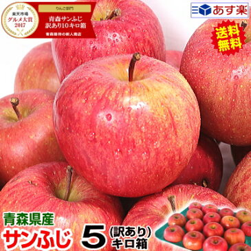 【送料無料】青森りんご 訳あり サンふじ 5キロ箱りんご 訳あり 5kg箱青森 林檎 5キロ箱 送料無料青森県産 サンふじ お得な訳あり 5kg箱【税込1980円】青森 リンゴ 5kg箱 大小様々