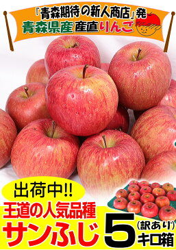 【送料無料】青森りんご 訳あり サンふじ 5キロ箱りんご 訳あり 5kg箱青森 林檎 5キロ箱 送料無料青森県産 サンふじ お得な訳あり 5kg箱【税込1980円】青森 リンゴ 5kg箱 大小様々
