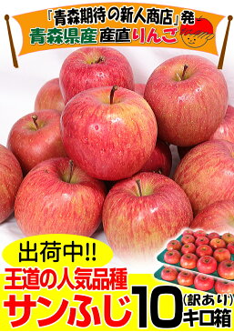 あす楽【送料無料】青森りんご 訳あり サンふじ 10キロ箱 訳ありりんご 訳あり 10kg箱青森 林檎 10キロ箱 送料無料青森県産 サンふじ お得な訳あり 10kg箱【税込2980円】青森 リンゴ 10kg箱 大小様々