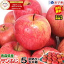 150円引き！あす楽【送料無料】青森りんご 訳あり サンふじ 5キロ箱りんご 訳あり 5kg箱青森 林檎 5キロ箱 送料無料青森県産 サンふじ お得な訳あり 5kg箱【税込1830円】青森 リンゴ 5kg箱 大小様々