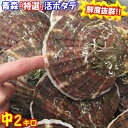 食べて応援価格!!あす楽【送料無料】青森 活ほたて 殻付き 中2キロ 約14枚〜20枚青森 ホタテ 養殖奇跡の海『むつ湾』からホタテ漁師直送！特選活ほたてむつ湾産活ほたて中サイズ2キロ【楽ギフ_のし宛書】3999円