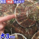 禁輸に負けない!!食べて応援【送料無料】青森 活ほたて...