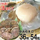 あす楽!!当日発送【送料無料】青森 活ほたて 殻付き 中大6キロ(約36枚〜54枚)順次発送中★青森 ホタテ 養殖青森『特選』活ほたて 奇跡の海『むつ湾』からホ...