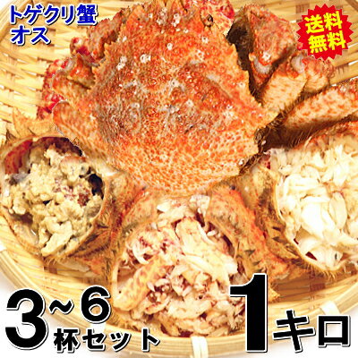 ĿΦѥȥ곪1