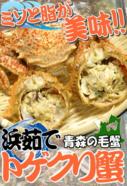 【送料無料】青森の毛蟹!トゲクリ蟹 1kg オス 約2杯~4杯この時期は脂が美味♪浜茹で直送だから届いたらすぐ食べられます!漁師直送 青森県産陸奥湾産 【トゲクリカニ1キロ すぐ食べられる】栗のように甘い蟹みそと脂が美味【税込3480円】