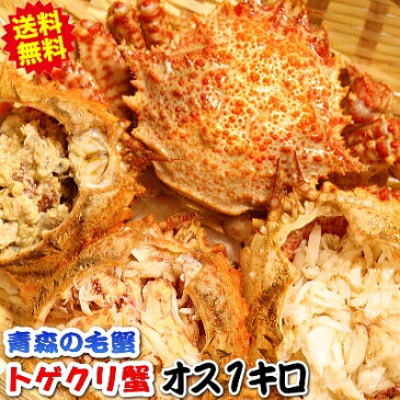 【送料無料】青森の毛蟹!トゲクリ蟹 1kg オス 約2杯~4杯この時期は脂が美味♪浜茹で直送だから届いたらすぐ食べられます!漁師直送 青森県産陸奥湾産 【トゲクリカニ1キロ すぐ食べられる】栗のように甘い蟹みそと脂が美味【税込3480円】