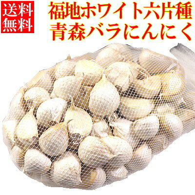 青森 にんにく 訳あり バラ【250g,400g,500g】【送料無料】青森県産 ニンニク 訳あり  ...